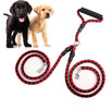 Walk Two Dogs at Once with the Double Pet Leash – Ultimate Control, Comfort, and Safety