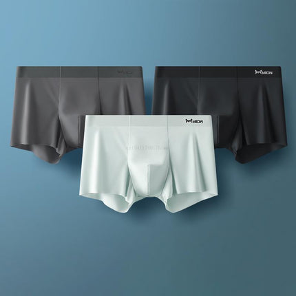 Boxer Shorts Men Underwear  /  Men's Panties