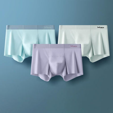 Boxer Shorts Men Underwear  /  Men's Panties