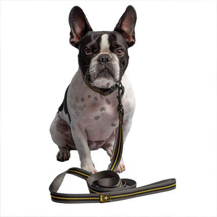 US Army Dog Leash - Dark Camo Pets