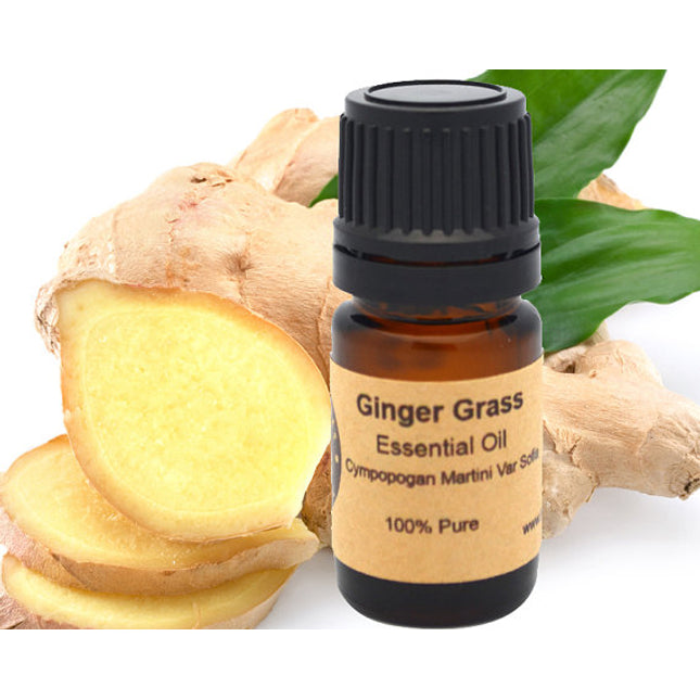 Ginger Essential Oil 15 ml