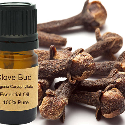 Clove Bud Essential Oil  15ml