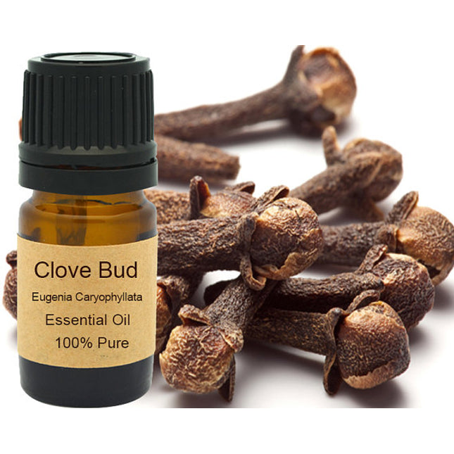 Clove Bud Essential Oil  15ml